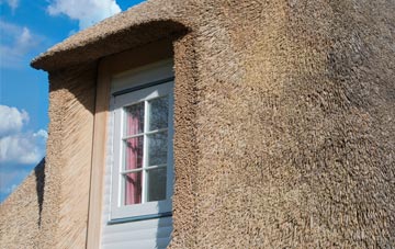 Marton thatch roof disadvantages